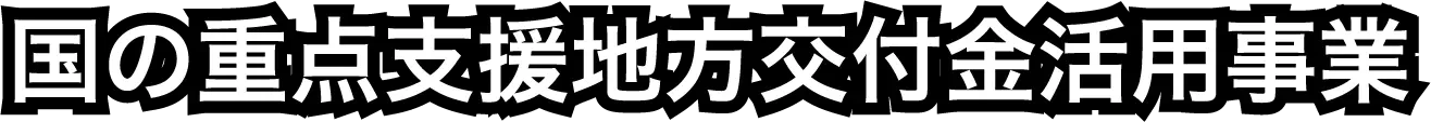 国の重点支援地方交付金活用事業